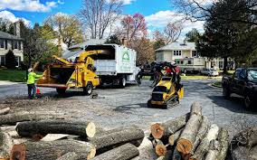  North Pole, AK Tree Removal Services Pros